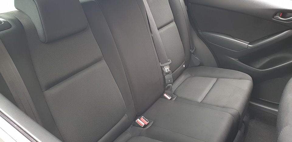 Osren Fabric Cleaner