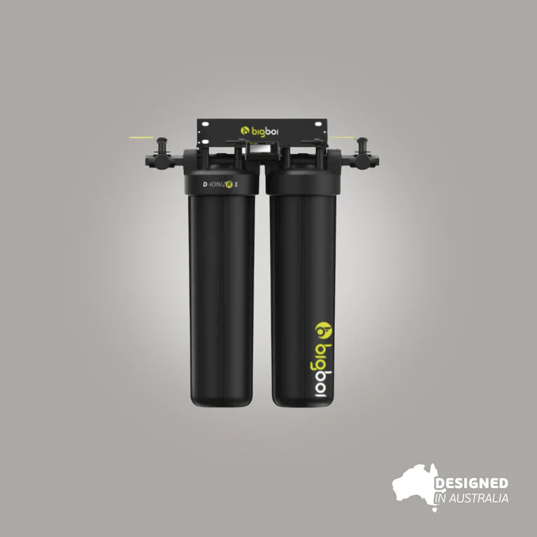 BigBoi D-IONIZR1SET MKII